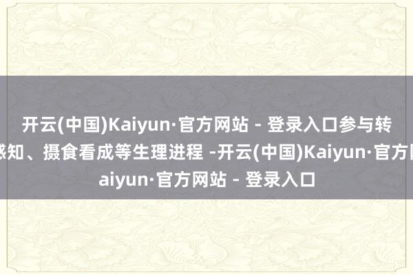 开云(中国)Kaiyun·官方网站 - 登录入口参与转换睡觉、痛觉感知、摄食看成等生理进程 -开云(中国)Kaiyun·官方网站 - 登录入口