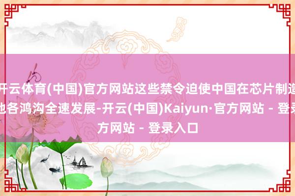 开云体育(中国)官方网站这些禁令迫使中国在芯片制造和其他各鸿沟全速发展-开云(中国)Kaiyun·官方网站 - 登录入口