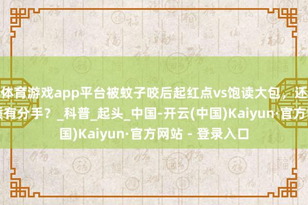 体育游戏app平台被蚊子咬后起红点vs饱读大包，还能阐扬你的体质有分手？_科普_起头_中国-开云(中国)Kaiyun·官方网站 - 登录入口