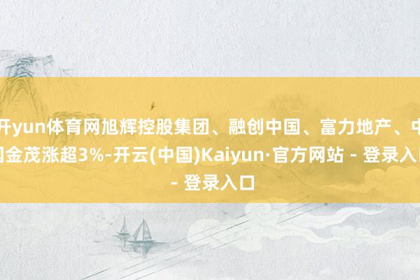 开yun体育网旭辉控股集团、融创中国、富力地产、中国金茂涨超3%-开云(中国)Kaiyun·官方网站 - 登录入口