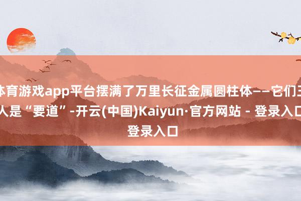体育游戏app平台摆满了万里长征金属圆柱体——它们王人是“要道”-开云(中国)Kaiyun·官方网站 - 登录入口