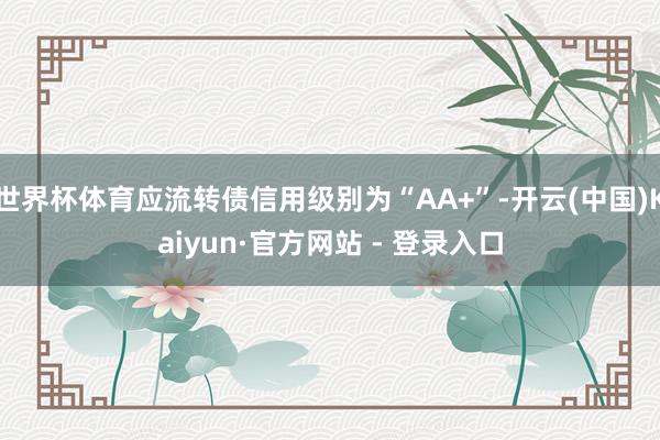 世界杯体育应流转债信用级别为“AA+”-开云(中国)Kaiyun·官方网站 - 登录入口